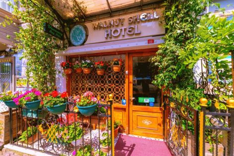 Хотел Walnut Shell Hotel Sultanahmet 3*