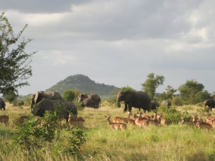 Най-доброто от Южна Африка