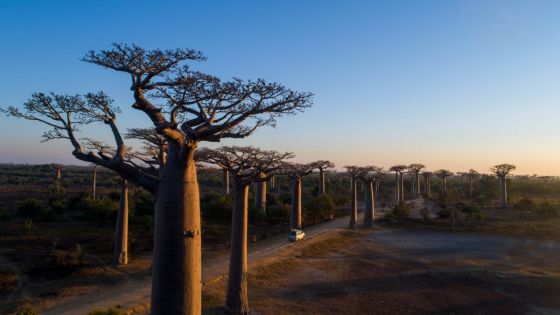 Екскурзия в МАДАГАСКАР - Уникалните пейзажи и дивата природа на Мадагаскар!