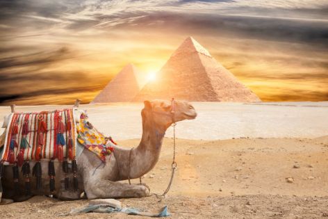 Magic Beach Hotel - All inclusive