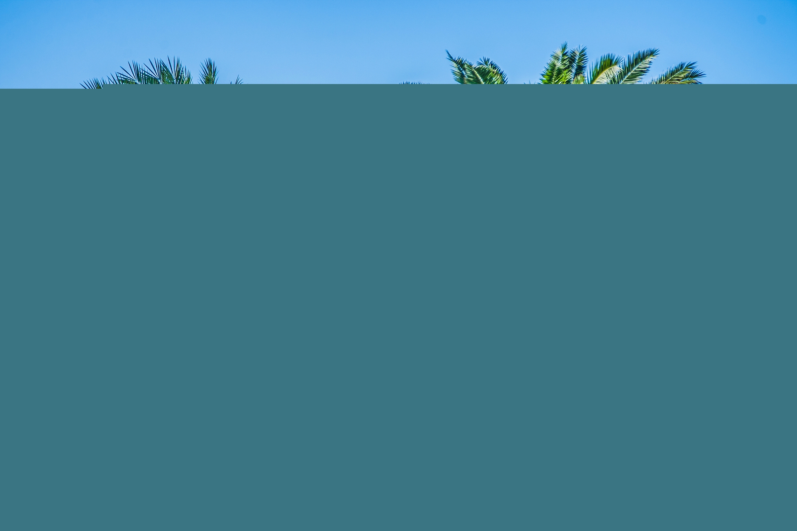 Desert Rose Resort - All inclusive