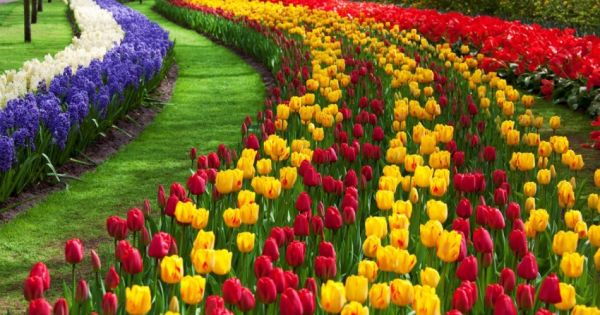 Великден в Истанбул, Турция - Фестивал на лалетата с автобус от Варна - 3 нощувки