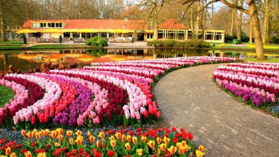 Почивка в Айвалък, Турция с автобус от София - 7 нощувки