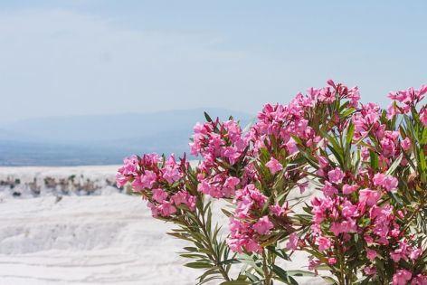 Нова година 2026 в Памуккале, Турция със собствен транспорт