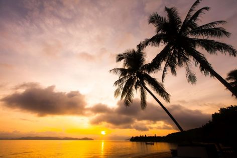 Почивка в Дидим, Турция с автобус от Варна - 9 нощувки