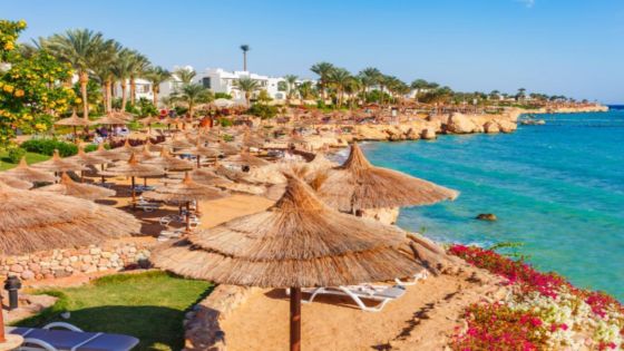Falcon Naama Star Hotel Standard