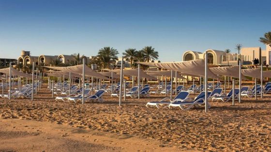 Gravity Sahl Hasheesh Premium
